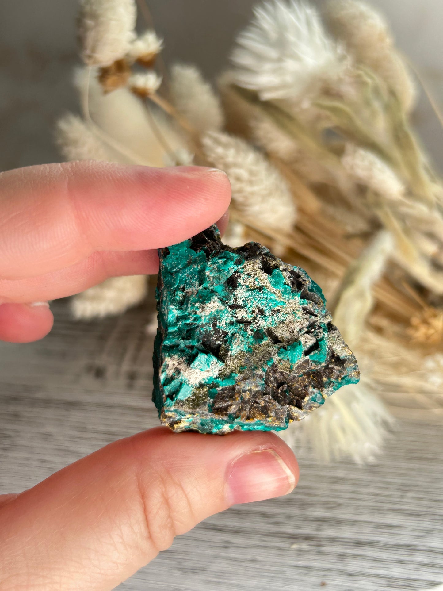 Dioptase Crystal | Rare Emerald Green Healing Stone