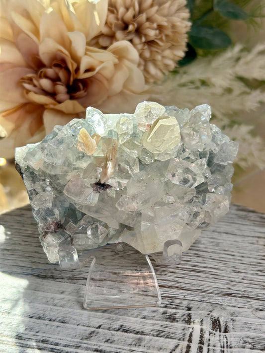 Natural Apophyllite cluster with Stilbite and Heulandite featuring sparkling crystal formations and layered mineral texture.