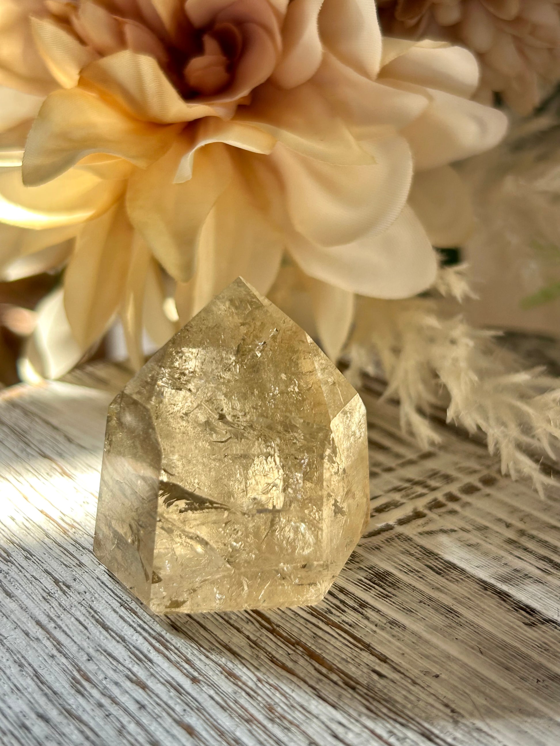 Champagne Citrine polished point with soft golden clarity, natural internal texture, and warm translucent tones.