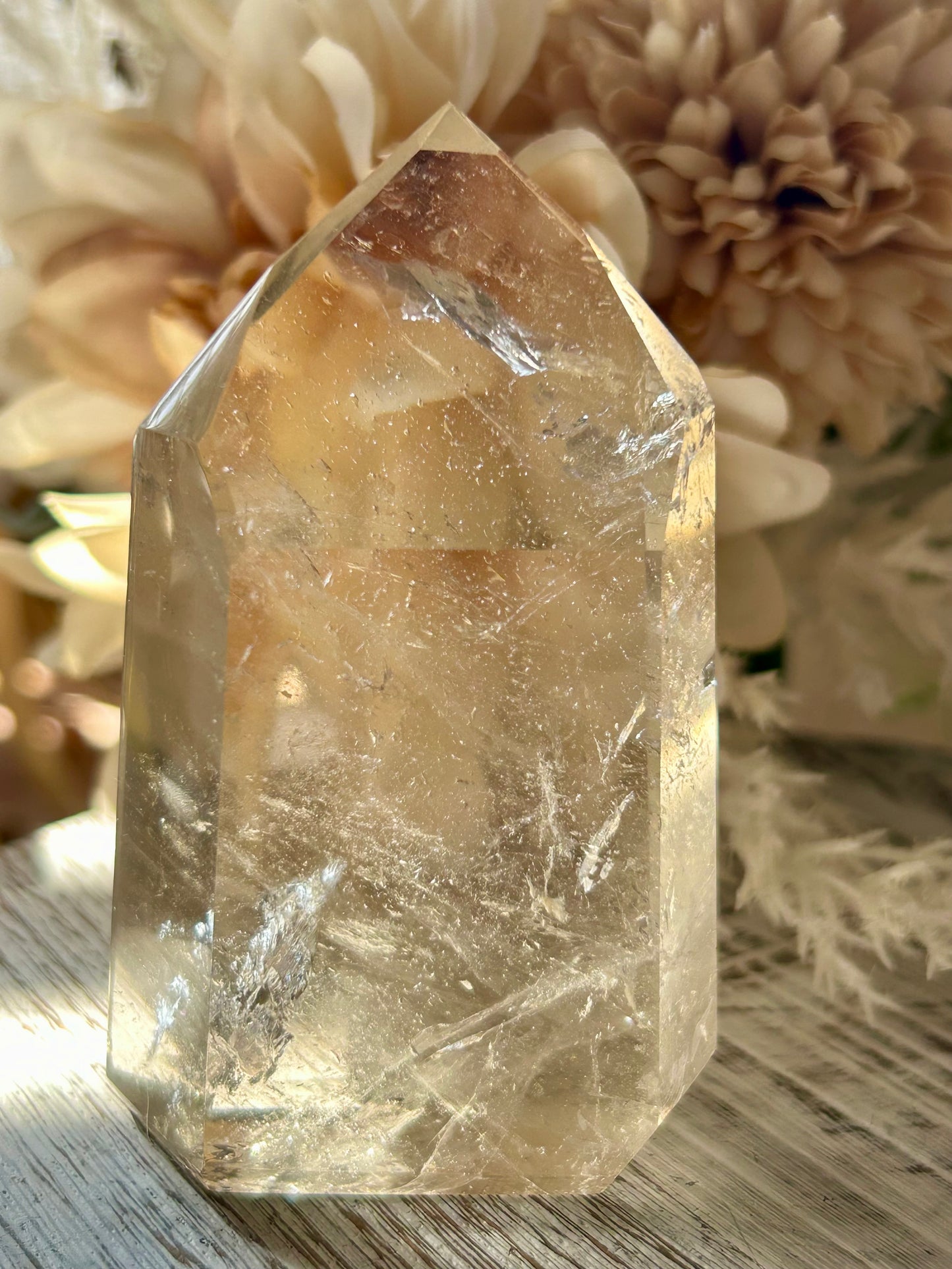 Champagne Citrine polished point with soft golden clarity, natural internal texture, and warm translucent tones.