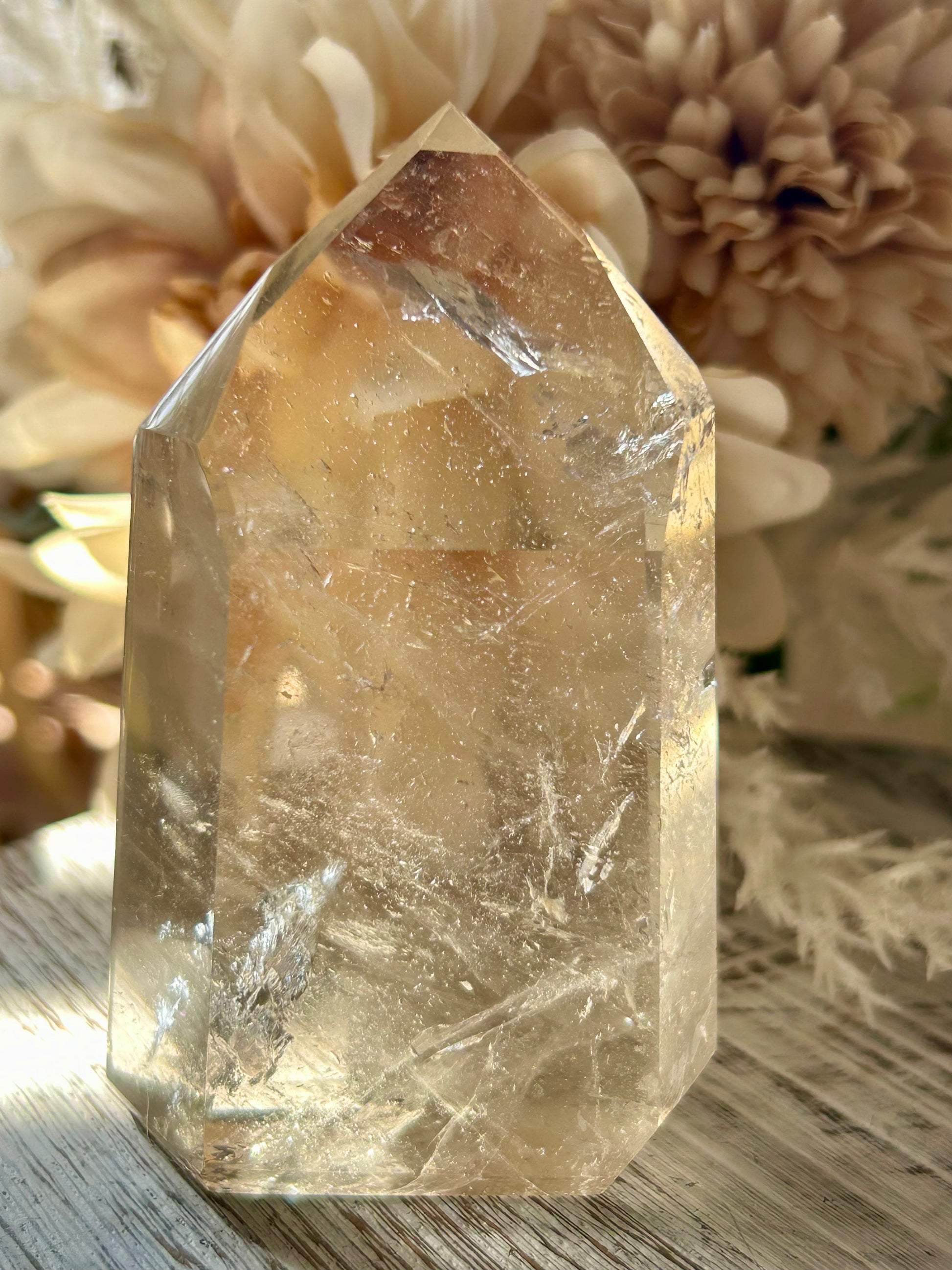 Champagne Citrine polished point with soft golden clarity, natural internal texture, and warm translucent tones.
