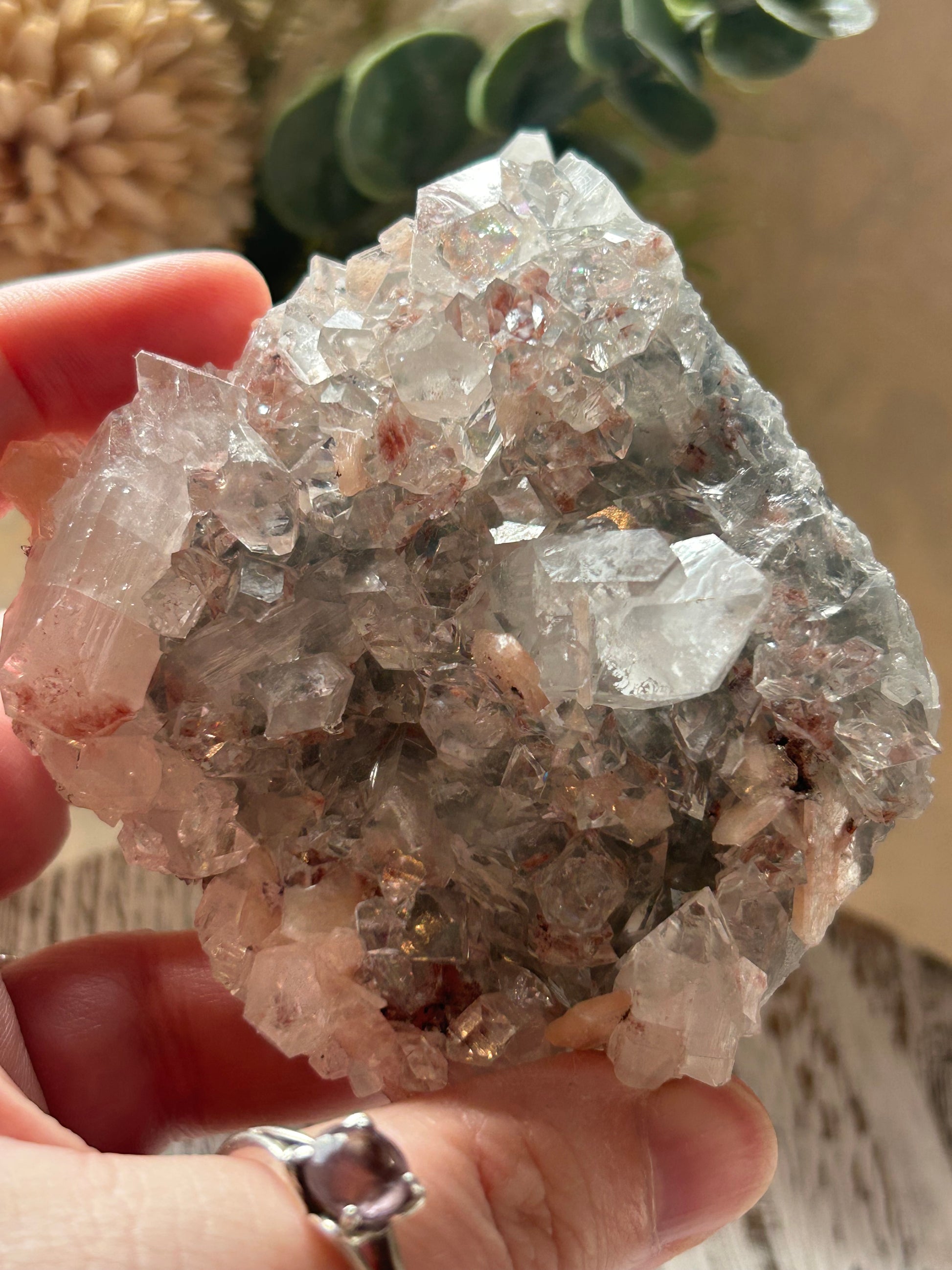 Natural Apophyllite cluster with Stilbite and Heulandite featuring sparkling crystal formations and layered mineral texture.