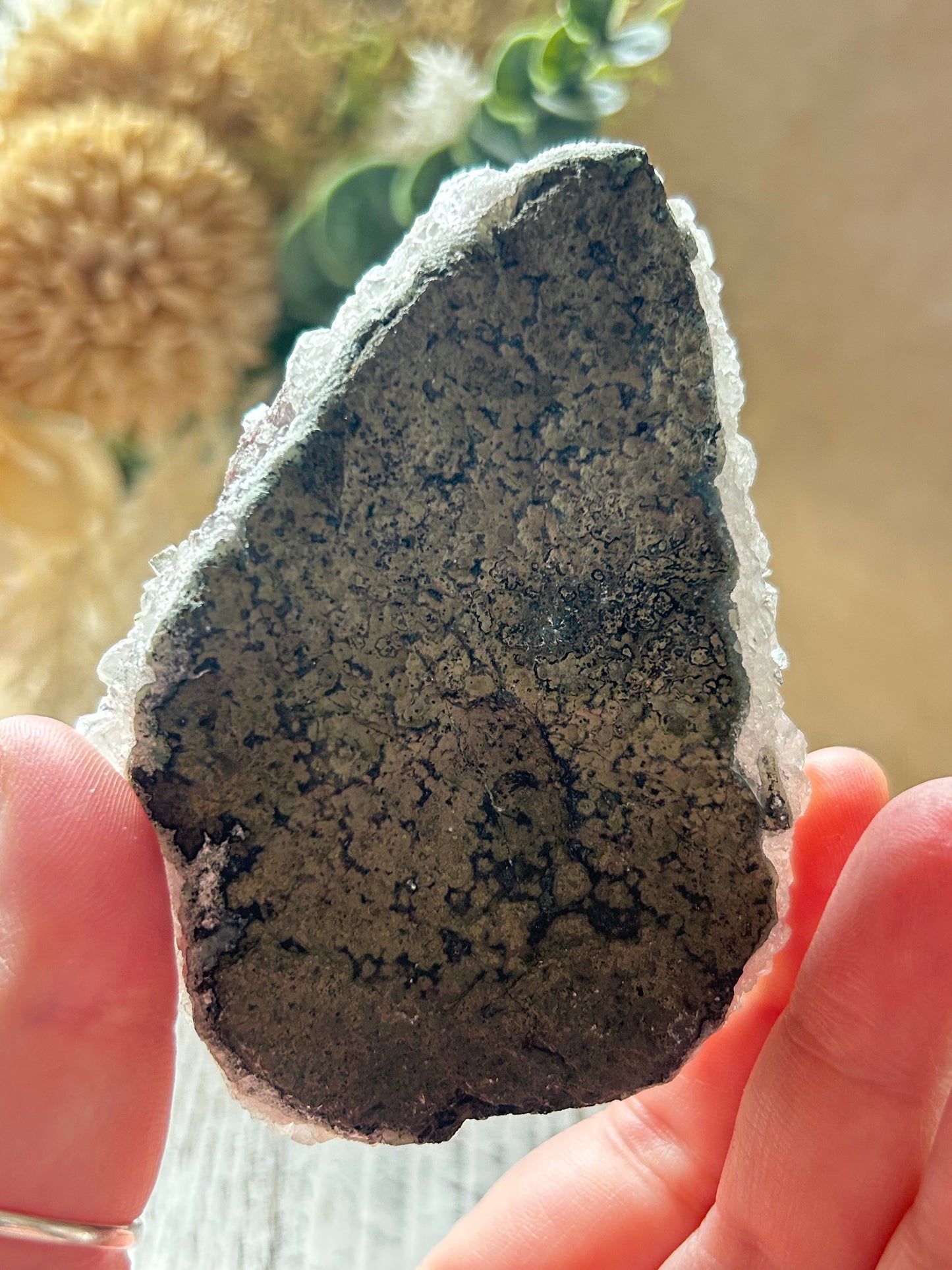 Hand holding a dark gray mineral specimen with a blurred natural background