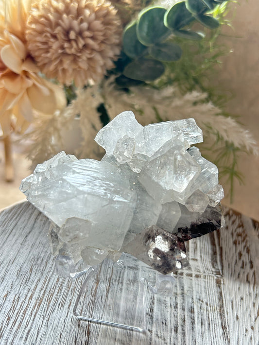 Glassy Apophyllite cluster with highly reflective crystal formations and natural sparkling texture.