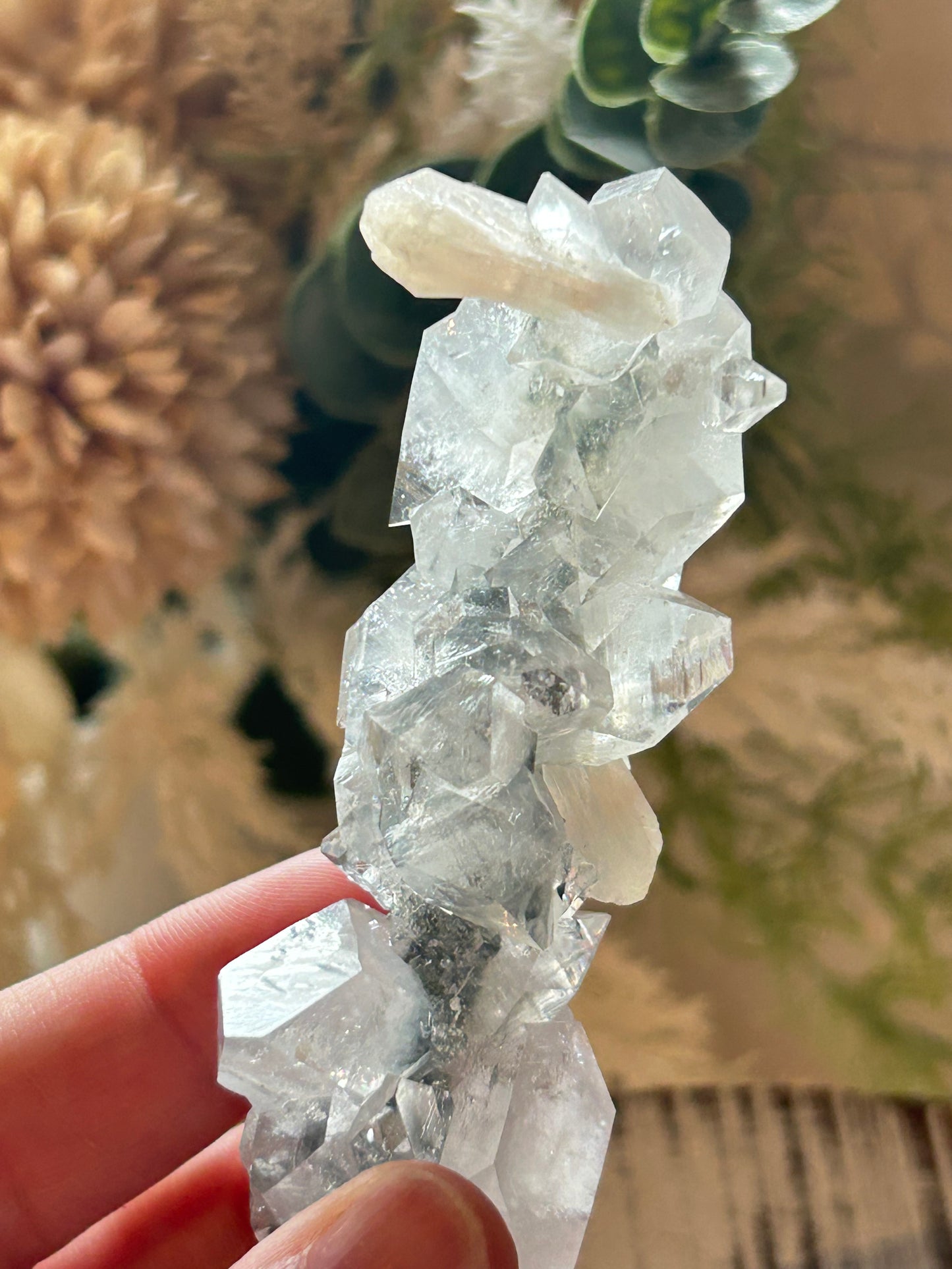 Clear crystal rock held by a hand with a blurred natural background