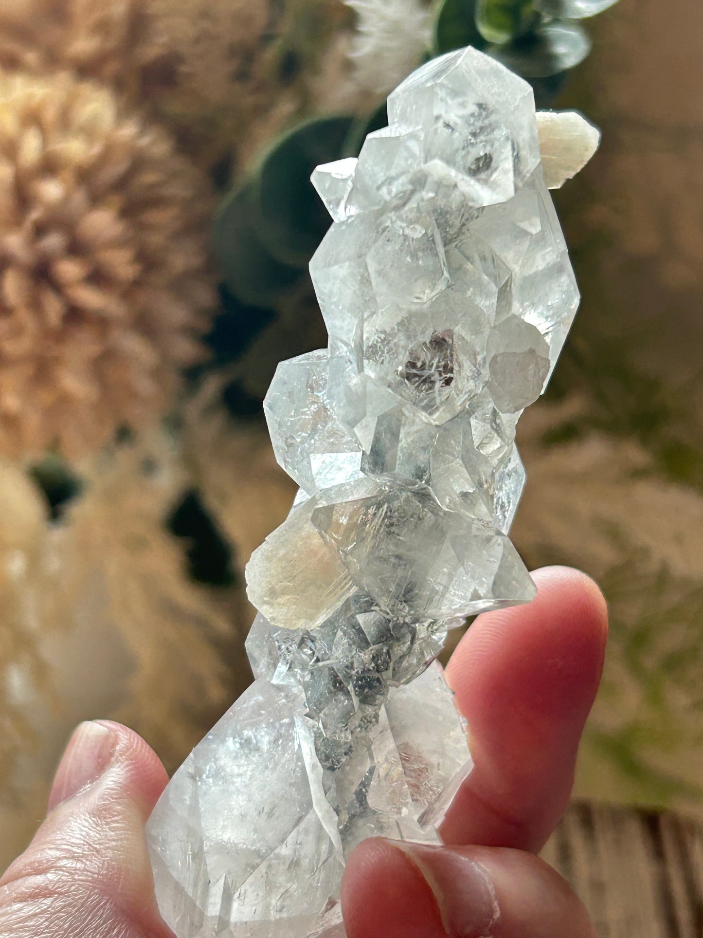 Clear crystal rock held by a hand with a blurred natural background