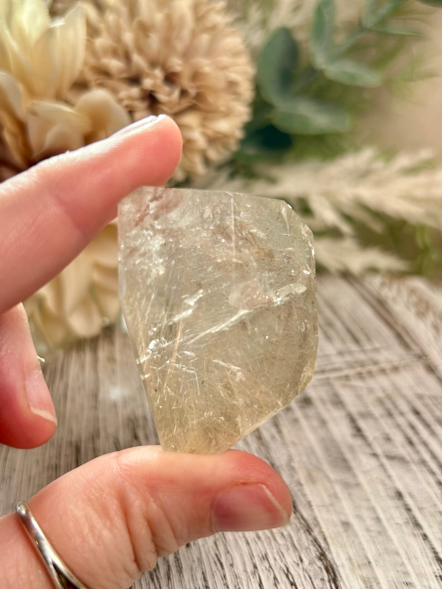 Hand holding a clear crystal with a natural background of plants and wood.