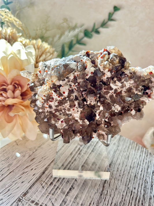 Natural Smoky Quartz cluster with deep red Garnet crystals on Feldspar matrix. Collector mineral specimen featuring translucent Smoky Quartz points and Garnet inclusions, ideal for crystal collectors and mineral enthusiasts.