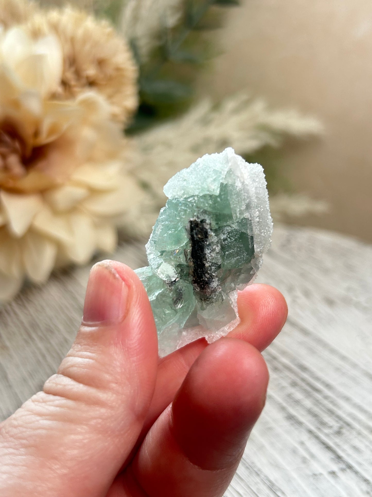 Green Sugar Fluorite cluster with sparkling druzy crystal texture, natural raw formation, and soft mint green tones.