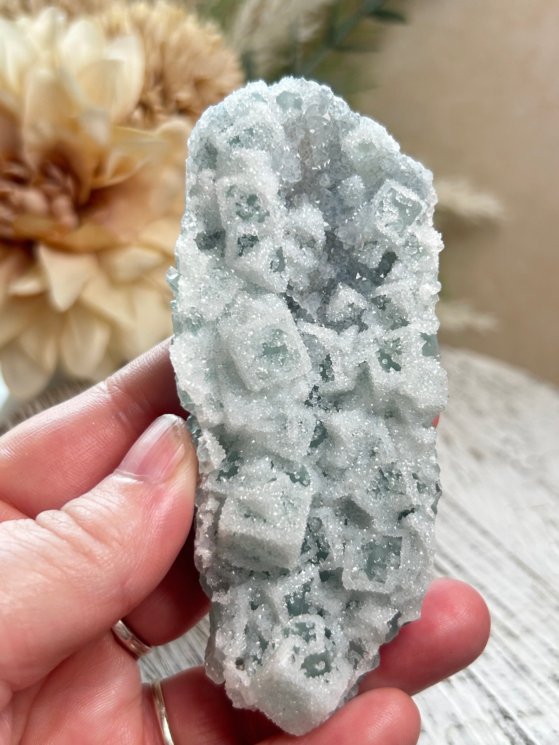 Green Sugar Fluorite cluster with sparkling druzy crystal texture, natural raw formation, and soft mint green tones.