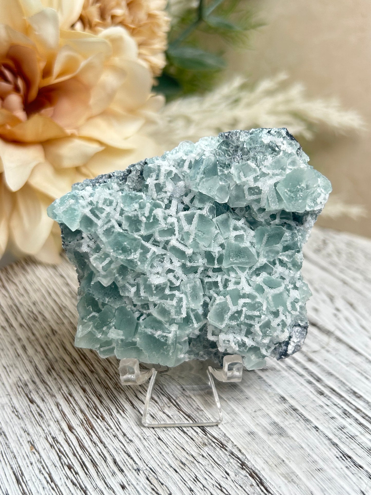 Green Sugar Fluorite cluster with sparkling druzy crystal texture, natural raw formation, and soft mint green tones.