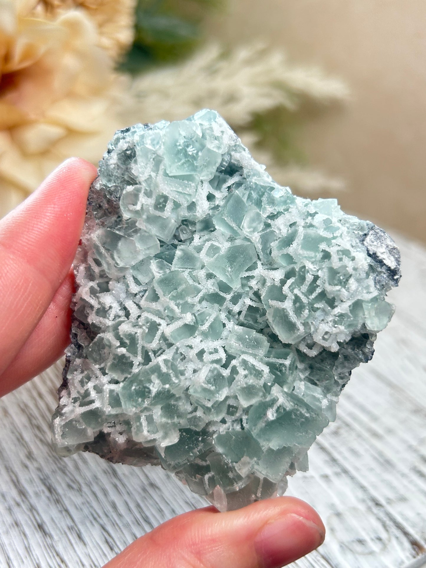 Green Sugar Fluorite cluster with sparkling druzy crystal texture, natural raw formation, and soft mint green tones.