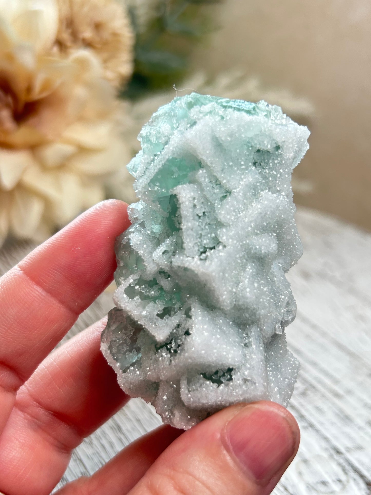 Green Sugar Fluorite cluster with sparkling druzy crystal texture, natural raw formation, and soft mint green tones.